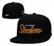 Pittsburgh Steelers Black Cap