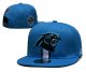 Carolina Panthers Blue Cap