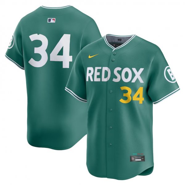 Men's Boston Red Sox #34 David Ortiz Nike Green 2025 City Connect Retired Player Jersey